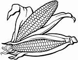 Corn Coloring Pages Print sketch template