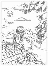 Owl Gufi Owls Adulti Eulen Erwachsene Malbuch Own Adults Unico Natale Colorati Justcolor sketch template