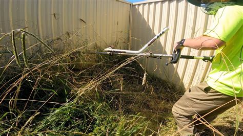 neglected backyard lawn sees lawn mower  weed whacker   time