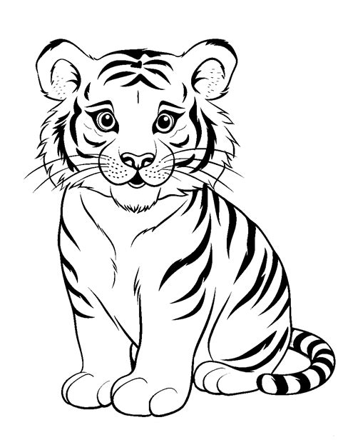 tiger coloring pages  kids  printables