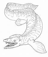 Tylosaurus Avancna Bw Mosasaur Coloring Pages Deviantart Template sketch template