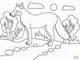 Fox Coloring Pages sketch template