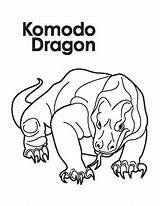 Komodo Dragon Drawing Coloring Paintingvalley sketch template