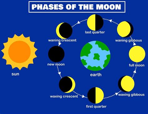 phases   moonlunar phaseearth  sunluna  lunar cycle changenight skyinfographic