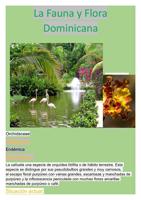 calaméo catalogo sobre la flora y fauna dominicana