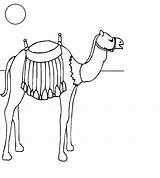 Camel Coloring Pages Kids Printable sketch template