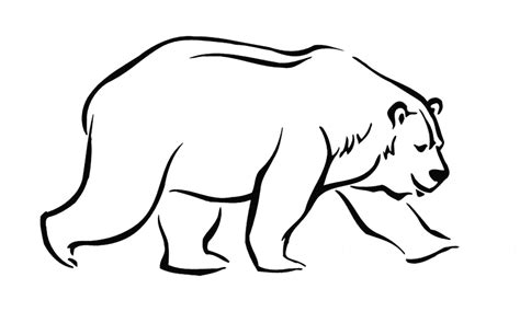 bear coloring page animals town animals color sheet bear