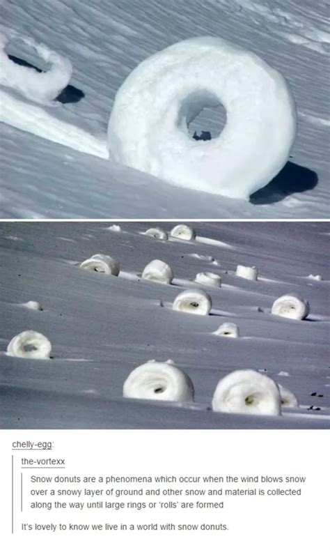 Snow Donuts Science Know Your Meme