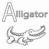 Letter Alligator sketch template