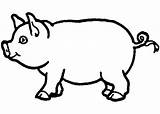 Coloring Pig Template Pages Outline Drawing Animal Print Templates Farm Vector Printable Draw Kids Patterns Clipart Mini Animals Premium Corner sketch template