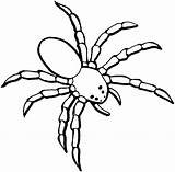 Dangerous Netart Spinnen Spiders Hulk Spide Bestcoloringpagesforkids Via Tarantula sketch template