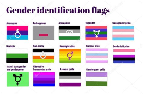 Lgbt Gay Flags All Over The World Flat Vector Illustration Homosexual