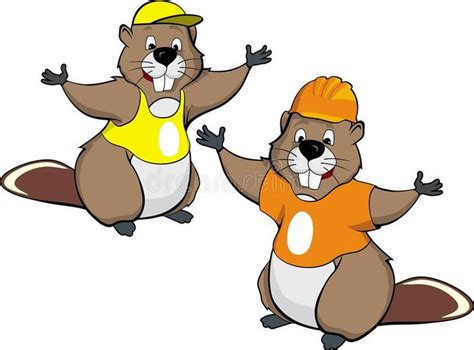 cartoon beavers draw  funny beaver working