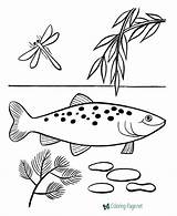 Fish Coloring Pages Printable Printables Print Sheets Kids Printing Coloringhome These Popular sketch template