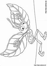 Bugs Bichos Inseto Flik Disegni Colorat Krabbeln Insecto Ausmalbilder Colouring Dawno Temu Trawie Kolorowanki P19 Asas Suas Raupe Malvorlagen Chucrute sketch template