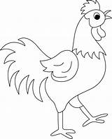 Rooster Coloring Pages Kids Drawing Printable Animals Roosters Drawings Booster Egg Energy Adults Color Print Chicken Cock Hen Craft sketch template