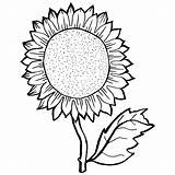 Sunflower Coloring Pages Drawing Adults Color Line Sunflowers Sheets Seeds Ve Seed Getdrawings Printable Template Print Sheet Drawings Young Survival sketch template