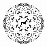 Greyhound Mandala Colouring Adult sketch template