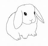 Bunny Drawing Floppy Ear Line Lop Eared Clipart Coloring Pages Lineart Rabbit Ears Bunnies Outline Cute Drawings Deviantart Mini Color sketch template