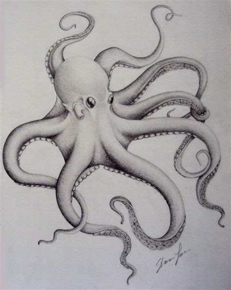 octopus   rattiedeviantartcom  atdeviantart octopus drawing