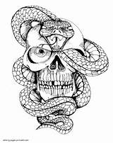 Snake Skulls Awesome Scary sketch template