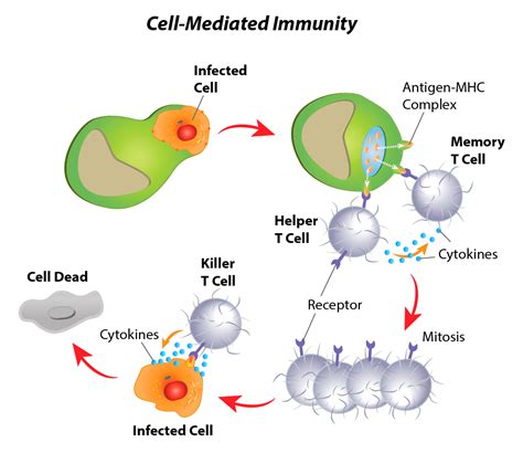 immunity map examples