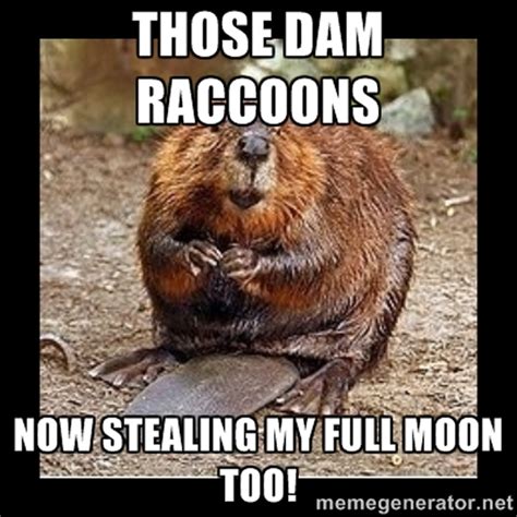 These Hilarious Beaver Moon Memes Are The Only Logical Way To Celebrate