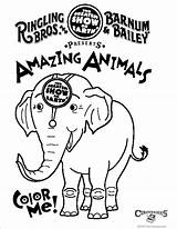 Coloring Circus Ringling Bros Superwoman Bailey Barnum Cliparts Cartoon Pages Kids Elephant Around Down Library Clipart sketch template