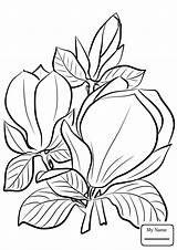 Magnolia Coloring Flower Printable Pages Getdrawings sketch template