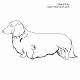 Dachshund Coloring Pages Dog Line Color Longhaired Drawing Dogs Draw Own Drawings Puppy Puppies Easy sketch template