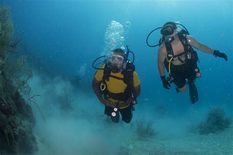 diving enthusiast   pick  dive site