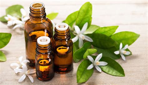 aromaterapi essential oils  minyak esensial digunakan