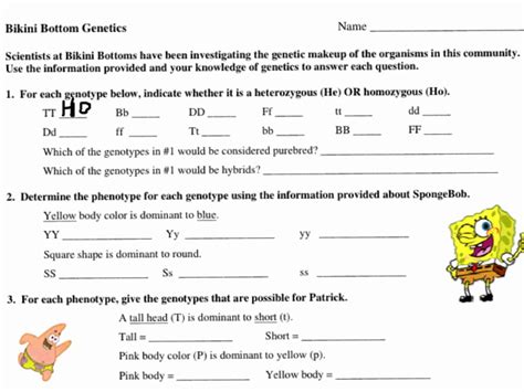 bikini bottom genetics worksheet scientific method worksheet biology life science