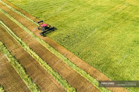 aerial view   swather cutting  barley field  graphic harvest