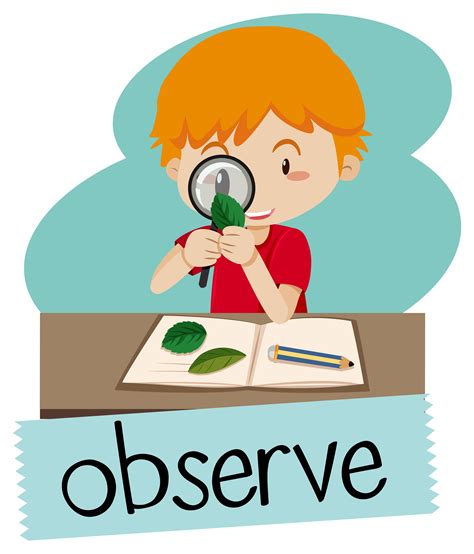 observation vector art icons  graphics