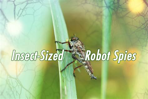rise  insect sized robot spies  espionage   level