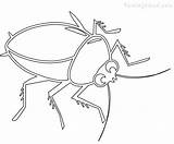 Cucaracha Cockroach sketch template