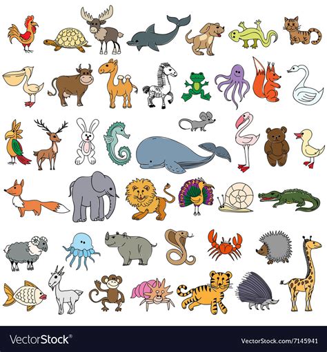 color doodle animals sketch royalty  vector image