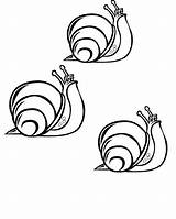 Schnecke Ausmalbild Kostenlos Malvorlagen sketch template