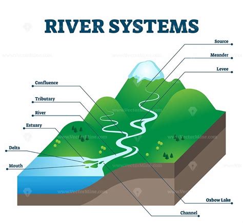 river systems  drainage basin educational structure vector illustration geography lessons