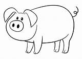 Pig Coloring Pages Simple Animal Templates Printable Shapes Template Printablee Bee Via sketch template