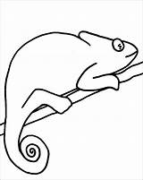 Coloring Chameleon Pages Print Coloringbay sketch template