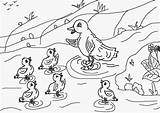 Feo Patito Duckling Colorea Pato Iguales Popular sketch template