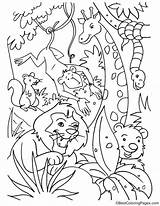 Jungle Coloring Pages Kids Animals Animal Lion Printable King Laughing Book Safari Color Sheets Print Bestcoloringpagesforkids Adult Themed Books Getcolorings sketch template