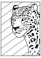 Leopards Iheartcraftythings sketch template