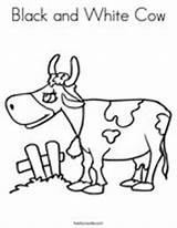 Coloring Cow Milking Moo Says Cows sketch template