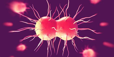 Gonorrhea Is More Resistant To Antibiotics Warns World