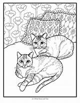 Coloring Cat Pages Big Cats Splat Printable Adult Print Warrior Getcolorings Color Book Getdrawings Colorings sketch template
