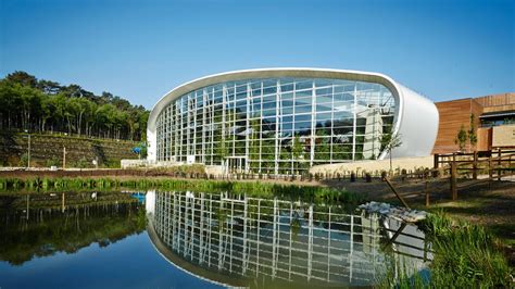 center parcs owner  weigh exit  bn leisure group business news sky news
