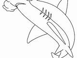 Coloring Shark Pages Hammerhead Goblin Mako Getcolorings Sharks Great Getdrawings Colorings sketch template
